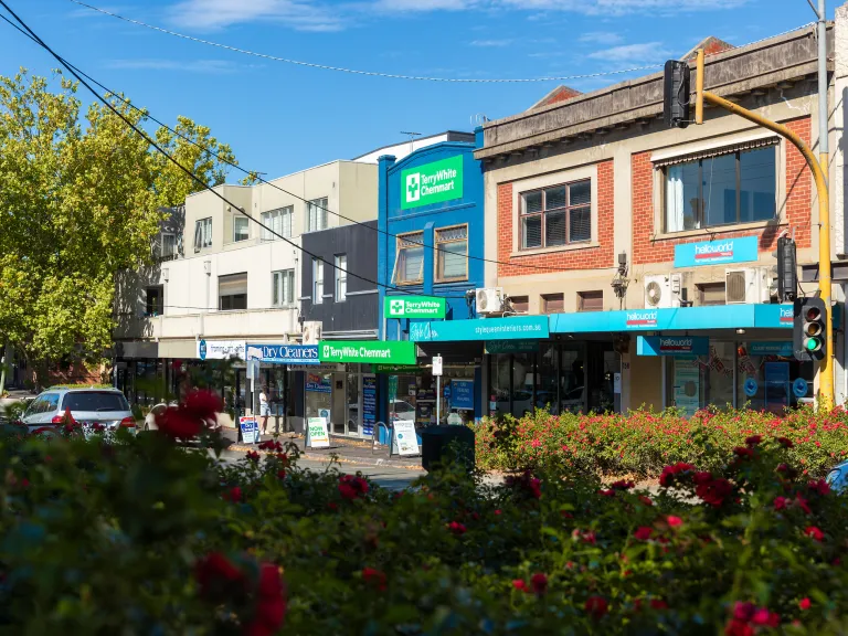 A row of shops on a sunny day. Along the roadsides are well maintained plants and hedges.