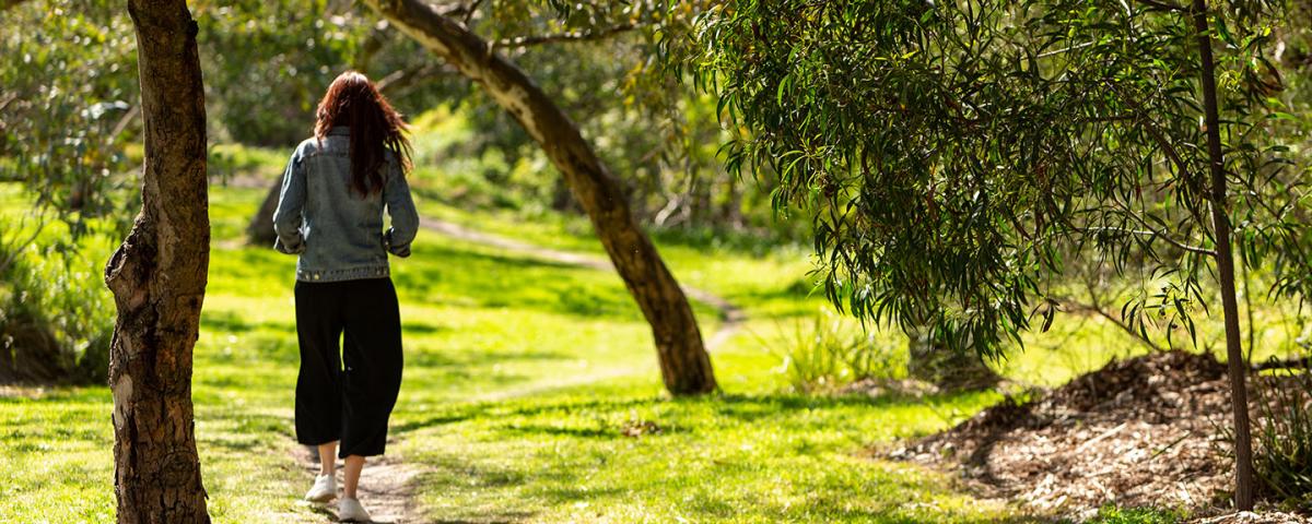A woman walks along Gardiners Creek Trail 