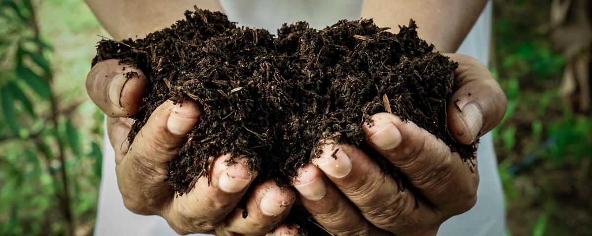 A person holding compost in their hands