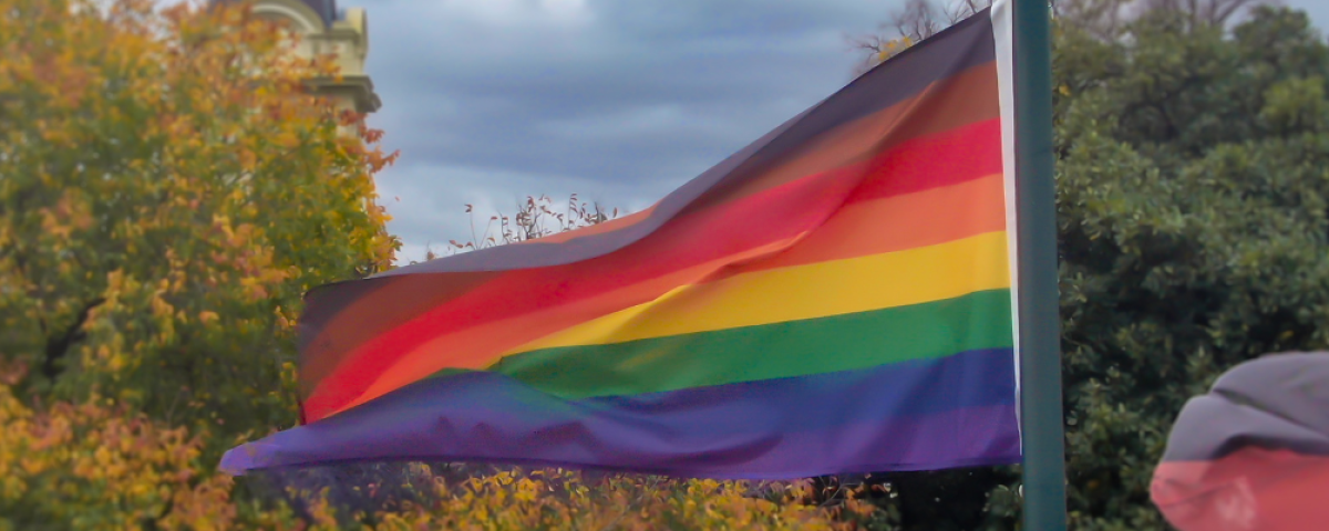 A pride flag including a light brown and dark brown strip blowing in the wind