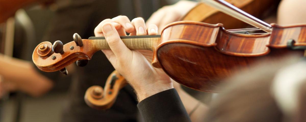 Close up on a persons hands as they are playing a violin, with other people playing violins in the background