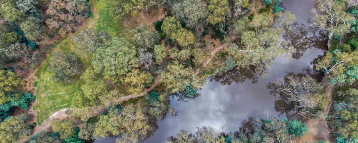 Looking down on a river that is reflecting the sky, surrounded by green trees and bushland