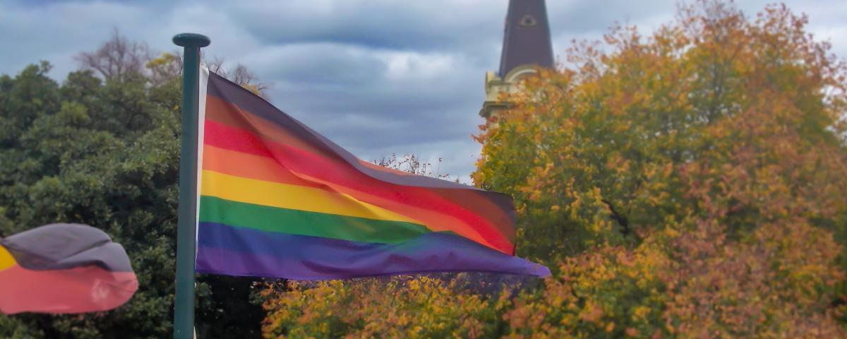 rainbow flag on a flagpole waving in the wind