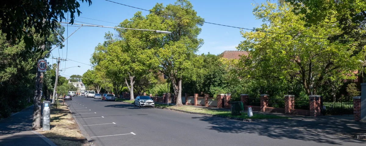 A tree lined local street with parks marked on the road surface.