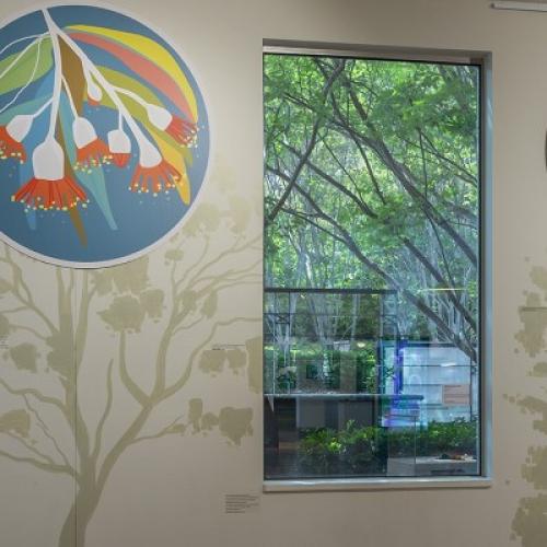 Tree silhouettes painted on walls between three windows. At the top of each tree is an artwork of the leaves and flowers of the tree.