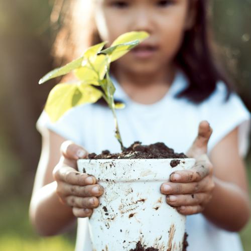 A child holding a pot plant