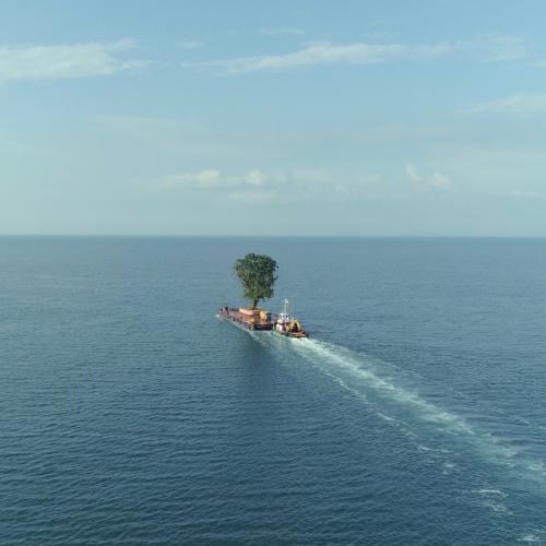 A tree on a boat in the ocean