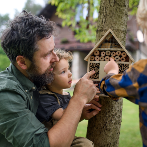 A man and 2 small children look at a bee hotel on a tree