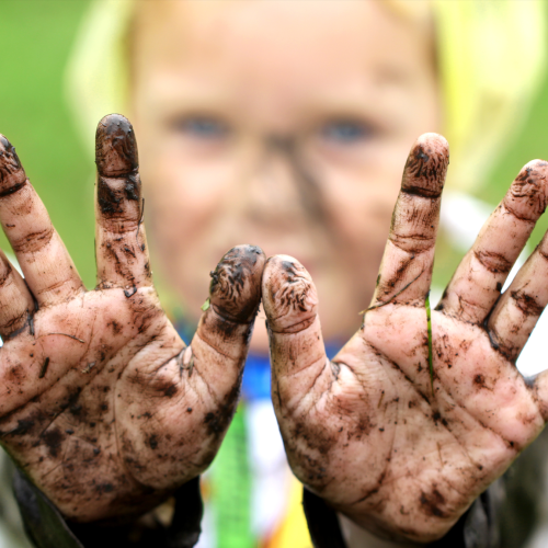 A child holds up the palms of 2 muddy hands