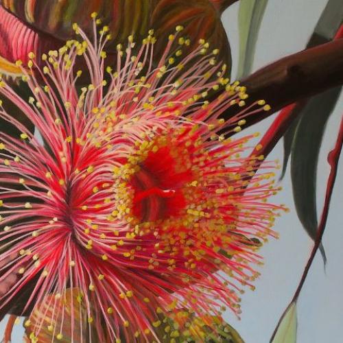 An artwork of an australian native flower in bloom