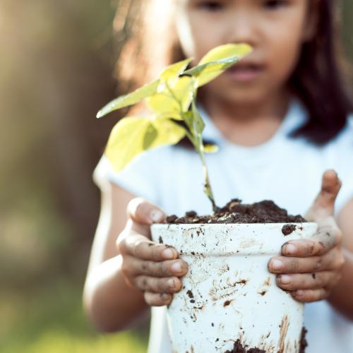 a child holds a pot in which a small plant is growing