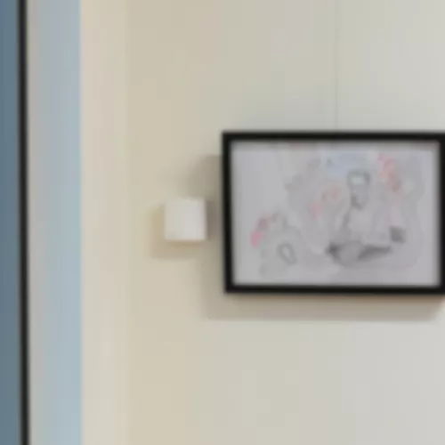 Photograph of a person with long dark hair looking at artworks in a gallery