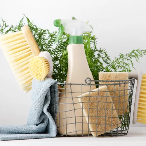 Brushes, sponges, rag and spray bottle placed in a wire basket with greenery visible at the back.