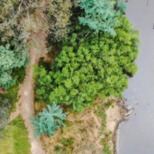 Aerial view of a river running through parklands