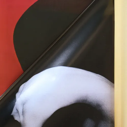 Abstract artwork showing a partially unrolled book or print. A bold red and black curved form intersects with the curved back of a human figure, with another page rolled to the right over the book's spine.