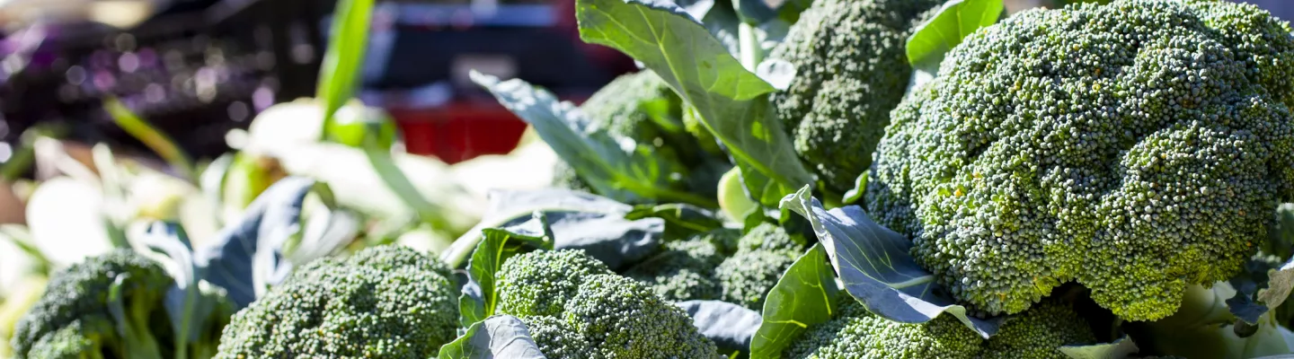Broccoli at farmers market