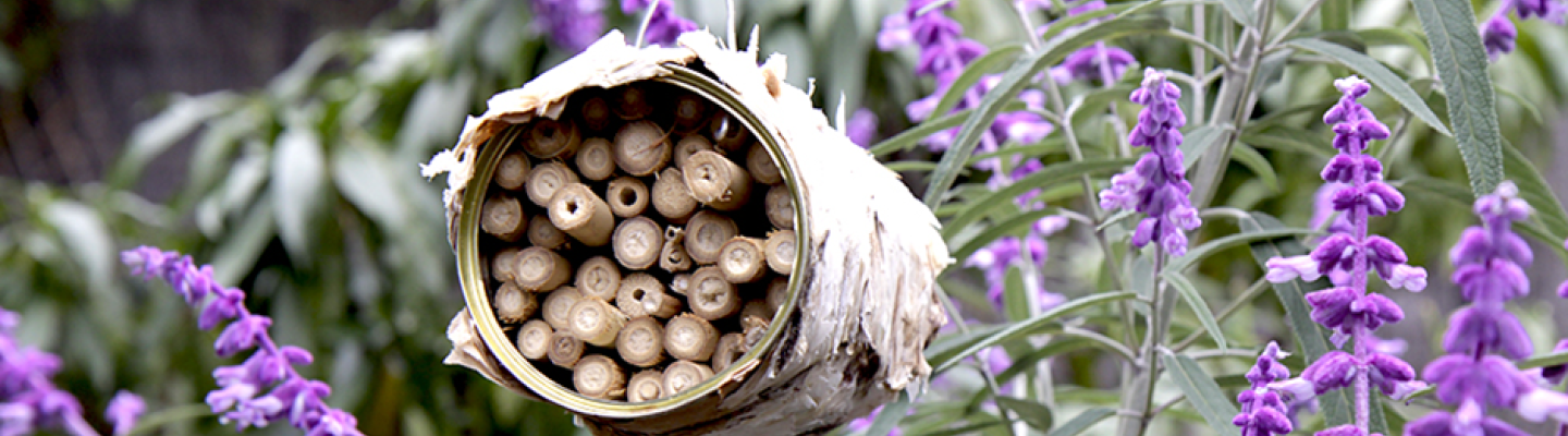 A cylindrical bee hotel hanging in a purple salvia patch