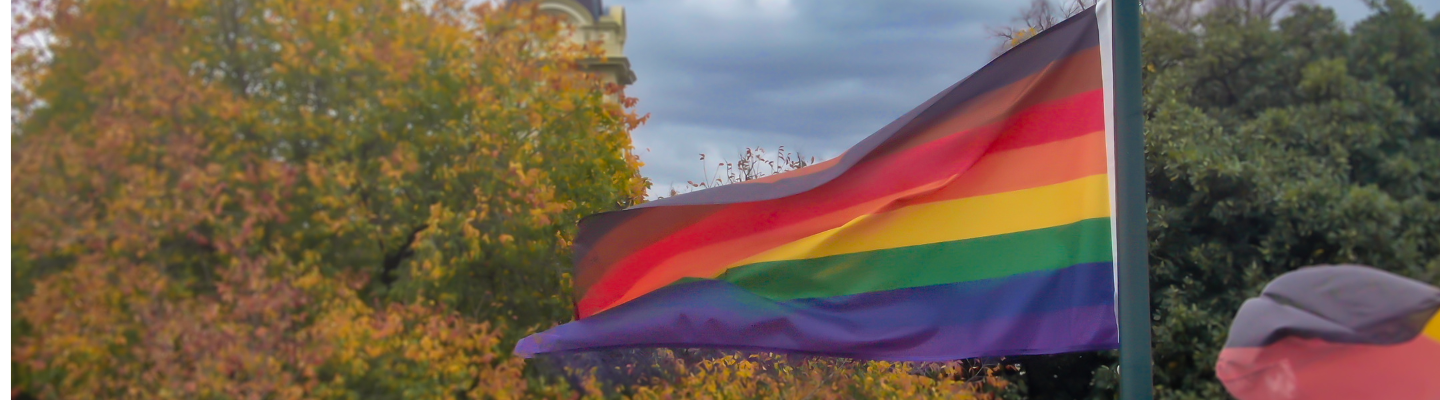 A pride flag including a light brown and dark brown strip blowing in the wind