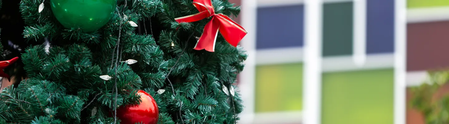 A tree with Christmas colour baubles and a bow