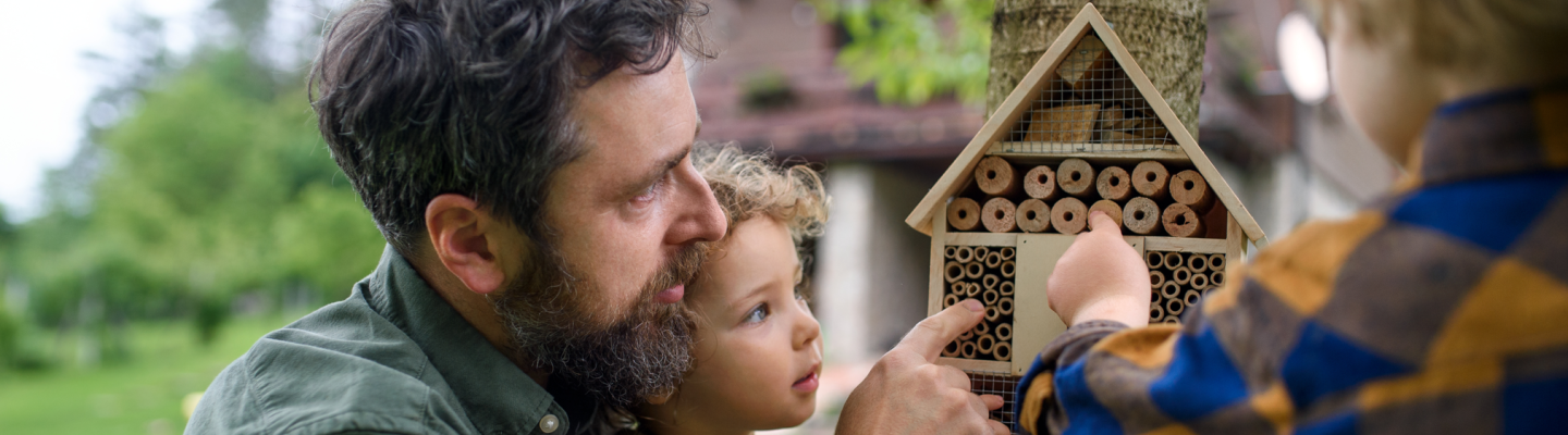 A man and 2 small children look at a bee hotel on a tree