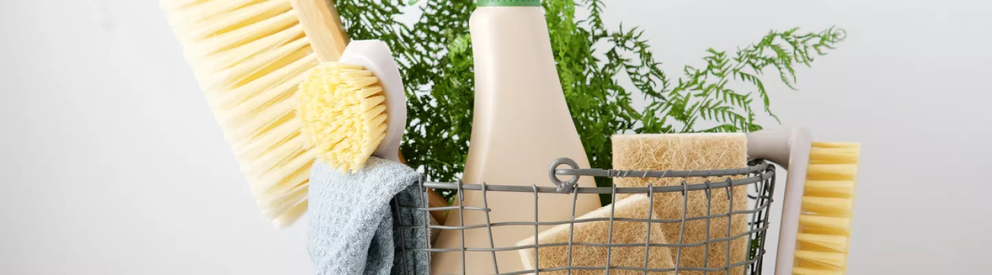 Brushes, sponges, rag and spray bottle placed in a wire basket with greenery visible at the back.