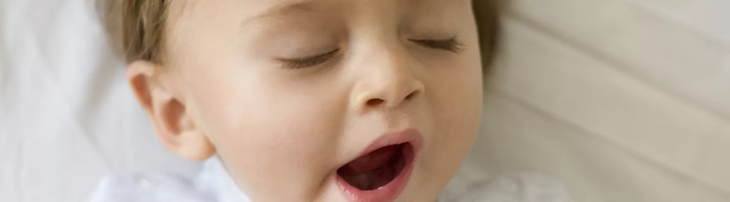 Yawning toddler in grey top.