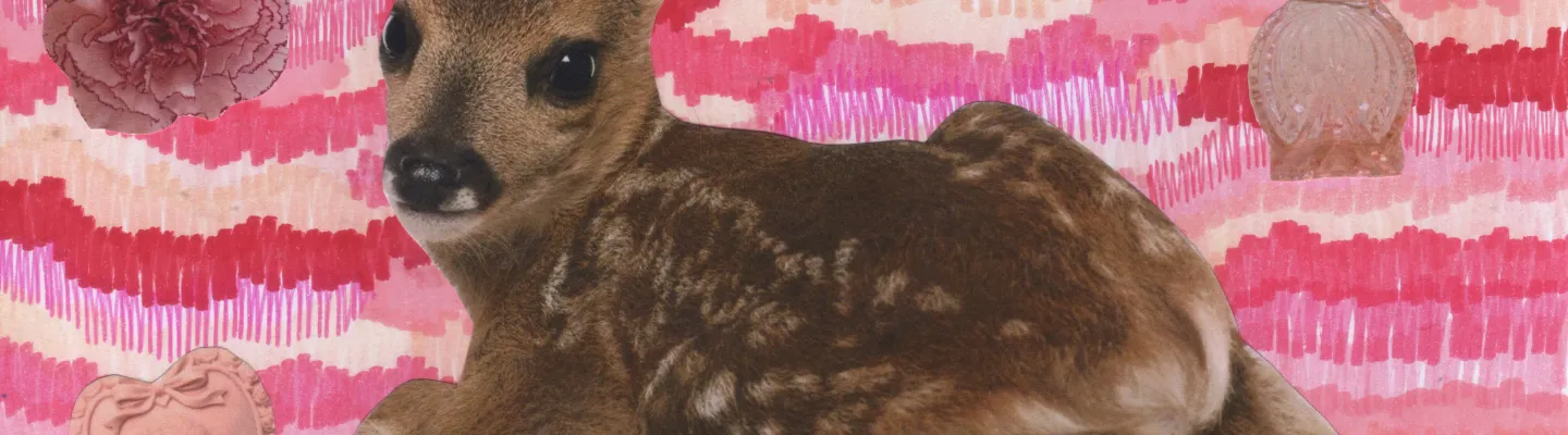 A baby deer lying sideways looking at viewer is surrounded by a pink background. There are several other items in the background, including a flower, a bow, a perfume bottle, and a brooch. 