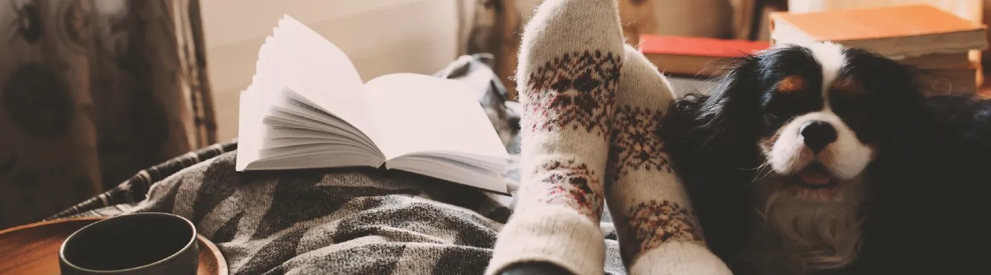 A person with warm socks, a cup of tea, an open book and their dog relaxing on a couch