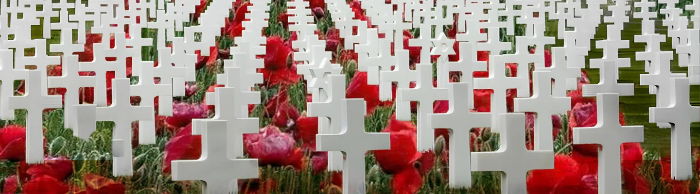 A graveyard with hundreds of white crosses in row interspersed with poppies
