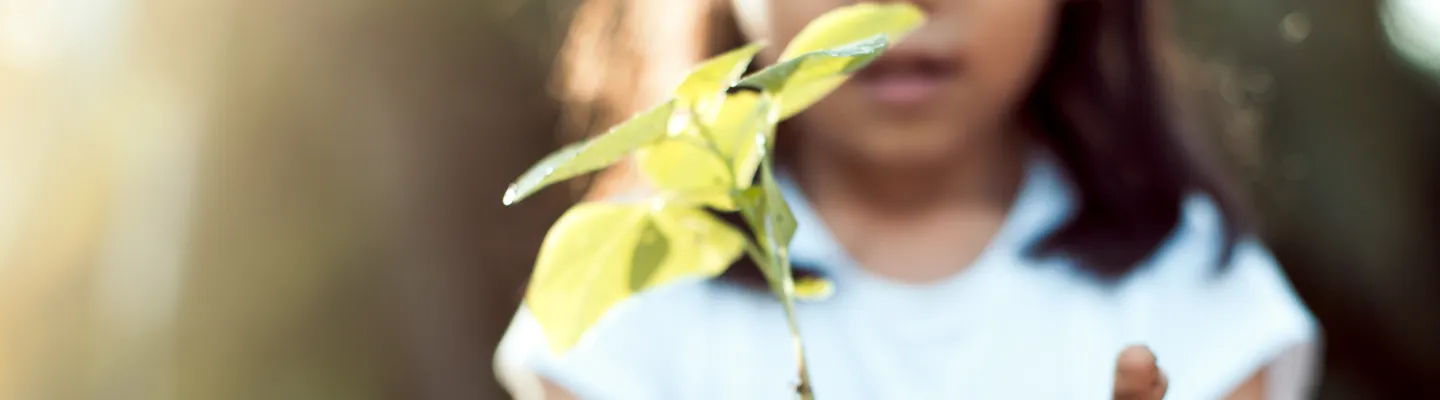 Girl holding on to a pot plant.