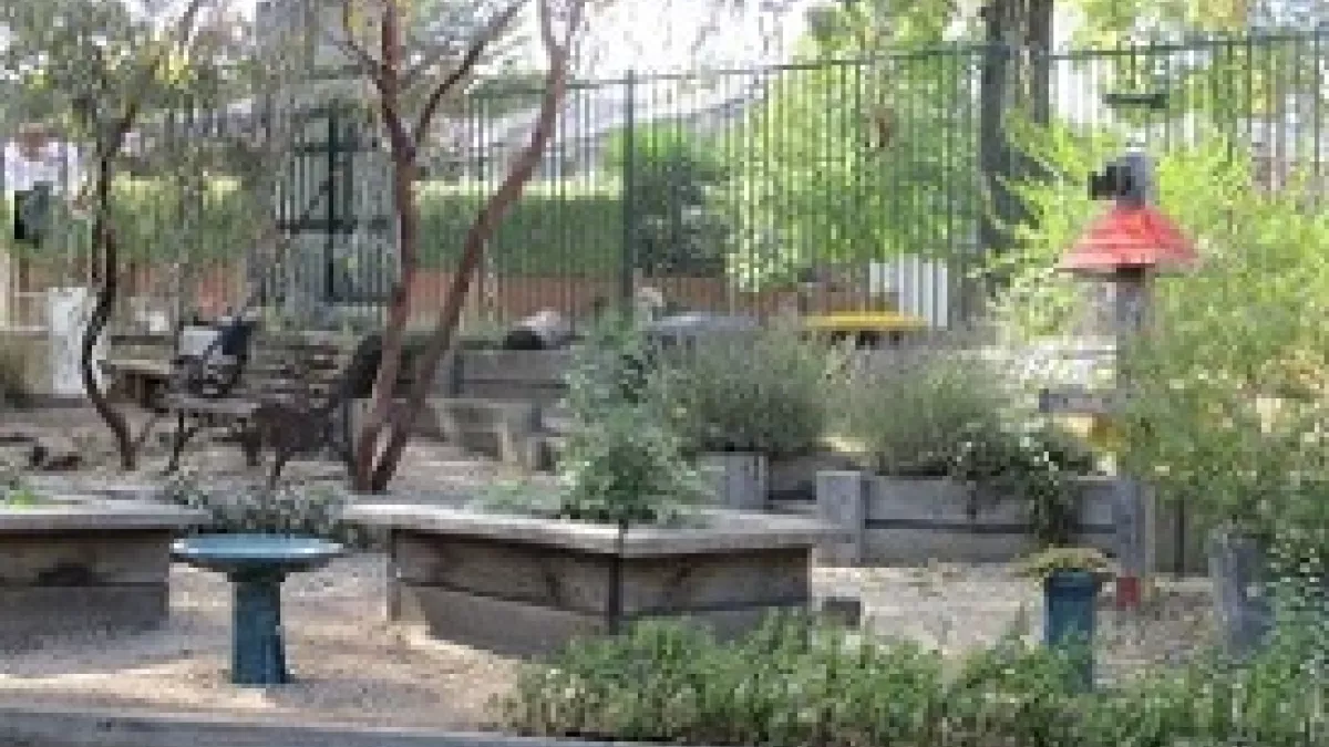 The garden at Bellevue Kindergarten