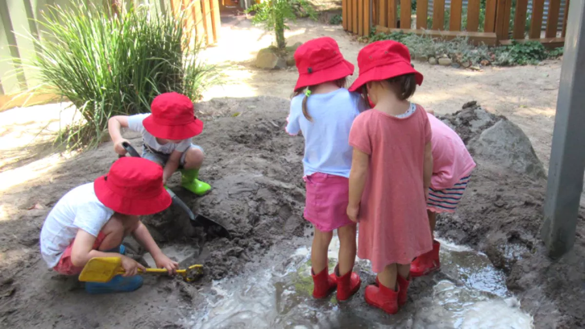 The bush garden at West Hawthorn Preschool