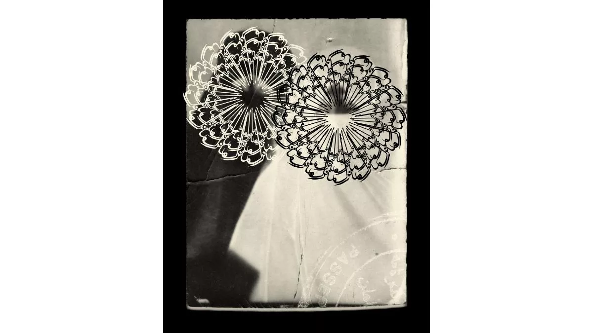 Image of the artwork House Habit Manzel by the artist Nasim Nasr