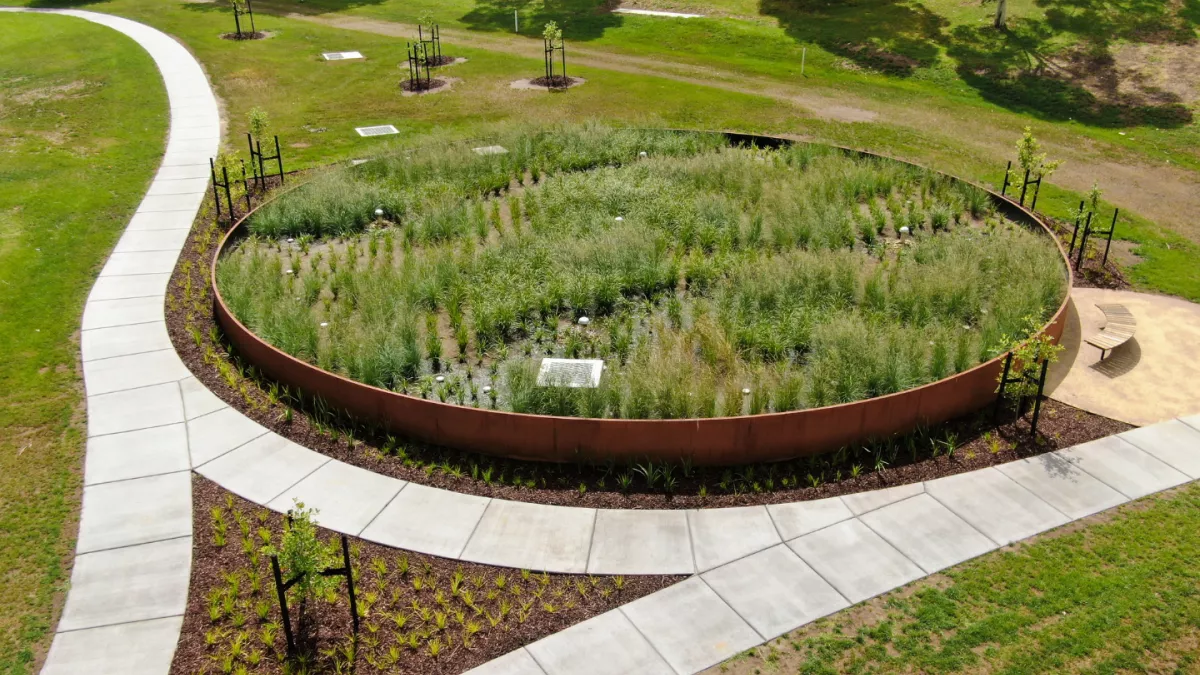 Gordon Barnard reserve raingarden