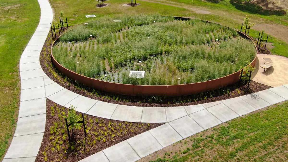 Photo of Gordan Barnard reserve raingarden