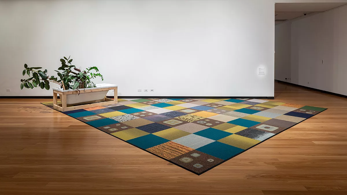 3.	Shannon Lyons, ‘Loneliness is a crowded room’, 2021, decommissioned carpet tiles, diminishing strip, tapes, pine, ‘Estilo’ acrylic bathtub, houseplants (Ctenanthe setosa, Hoya carnosa compacta, Zamioculcas zamiifolia, Ficus elastica ‘Melany’, Kalanchoe blossfeldiana and Rhipsalis pilocarpa), 600 x 500 x 150cm, installation view, Town Hall Gallery, 2021. Photography by Christian Capurro