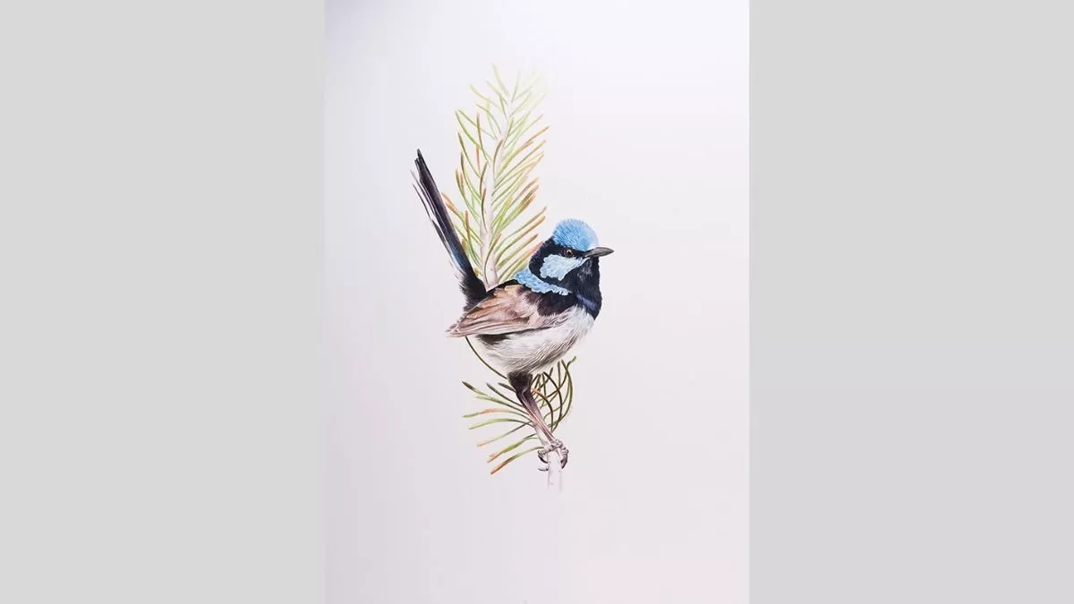 Watercolour painting of a blue wren standing on a small branch.