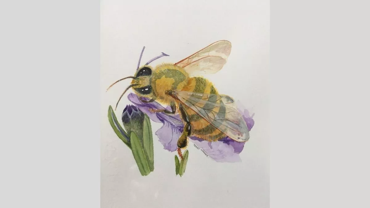 Watercolour painting of of a bee resting on an iris flower.