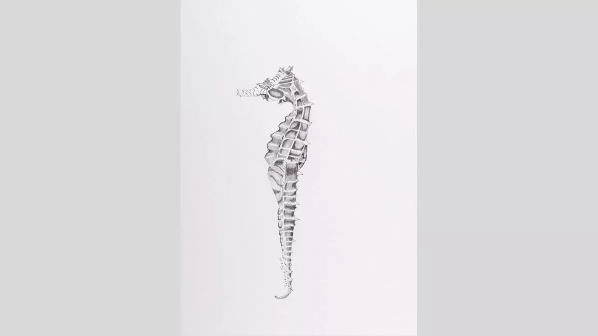 Ink drawing of a seahorse.