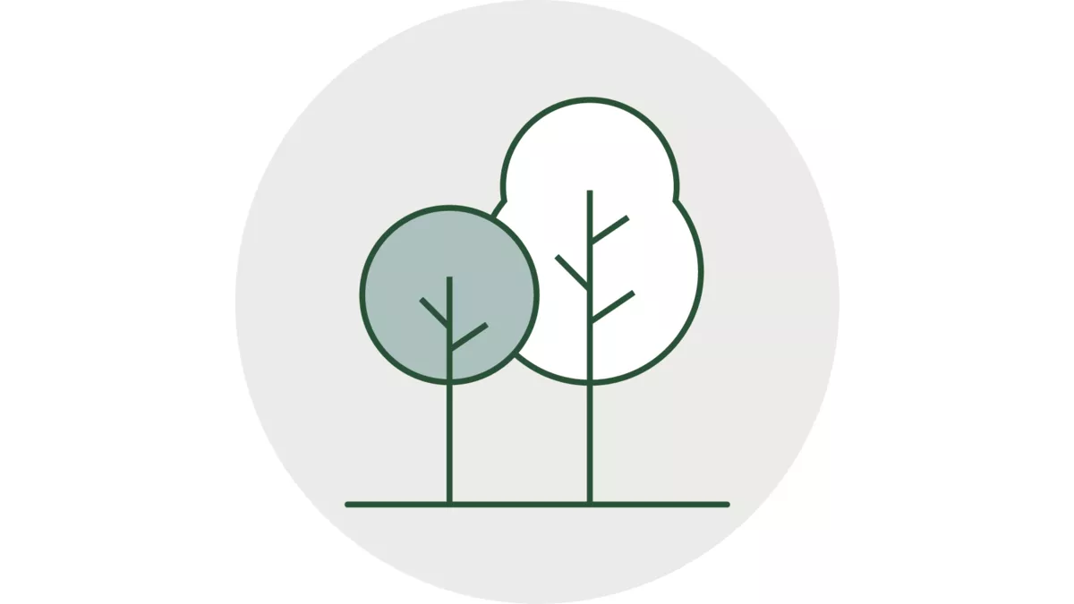 Two trees