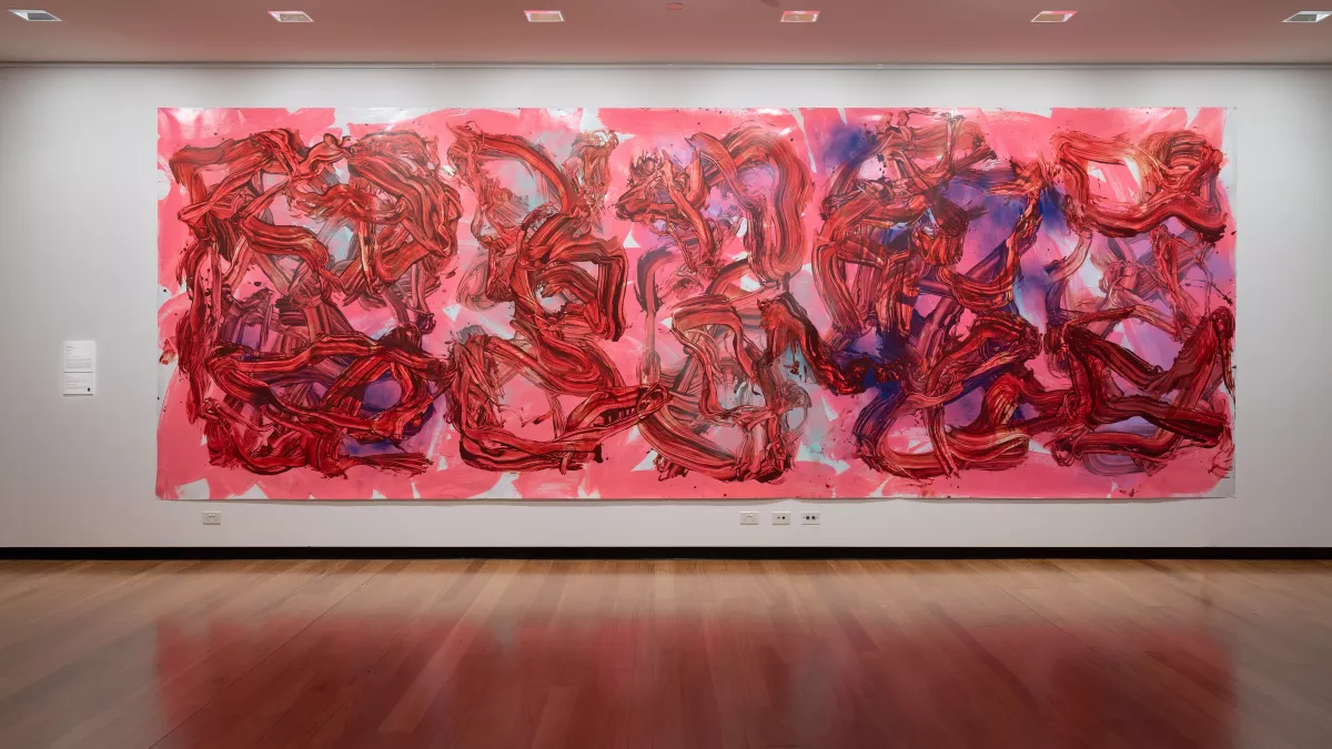 Installation view of ‘Expanded Canvas’ at Town Hall Gallery