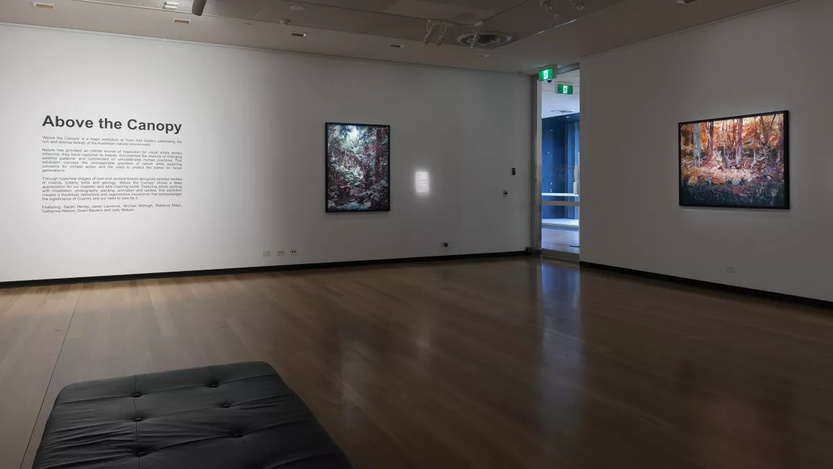 The exhibition space for Above the Canopy, showing a large gallery room with 'Above the Canopy' printed on one wall followed by smaller text, and artworks on the walls