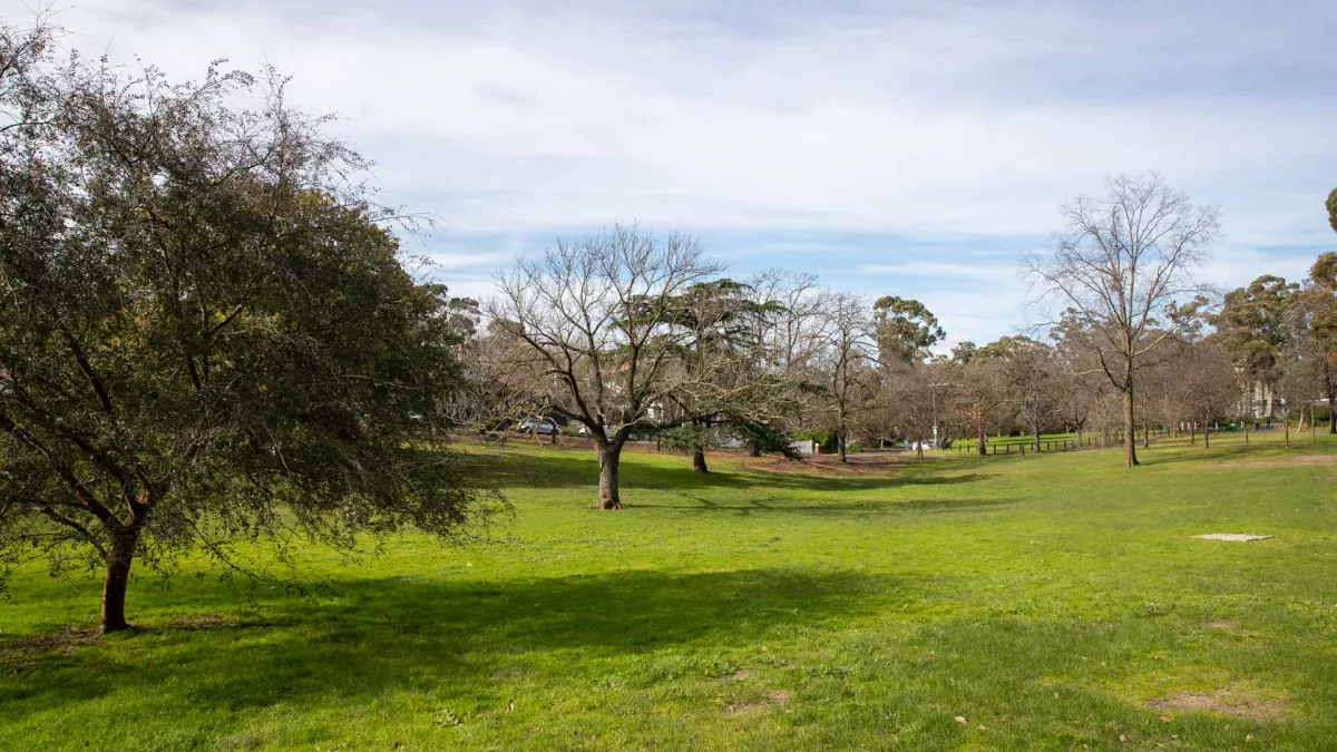 Large grass area with slight slopes on either side and a small valley with a line of trees through the middle.