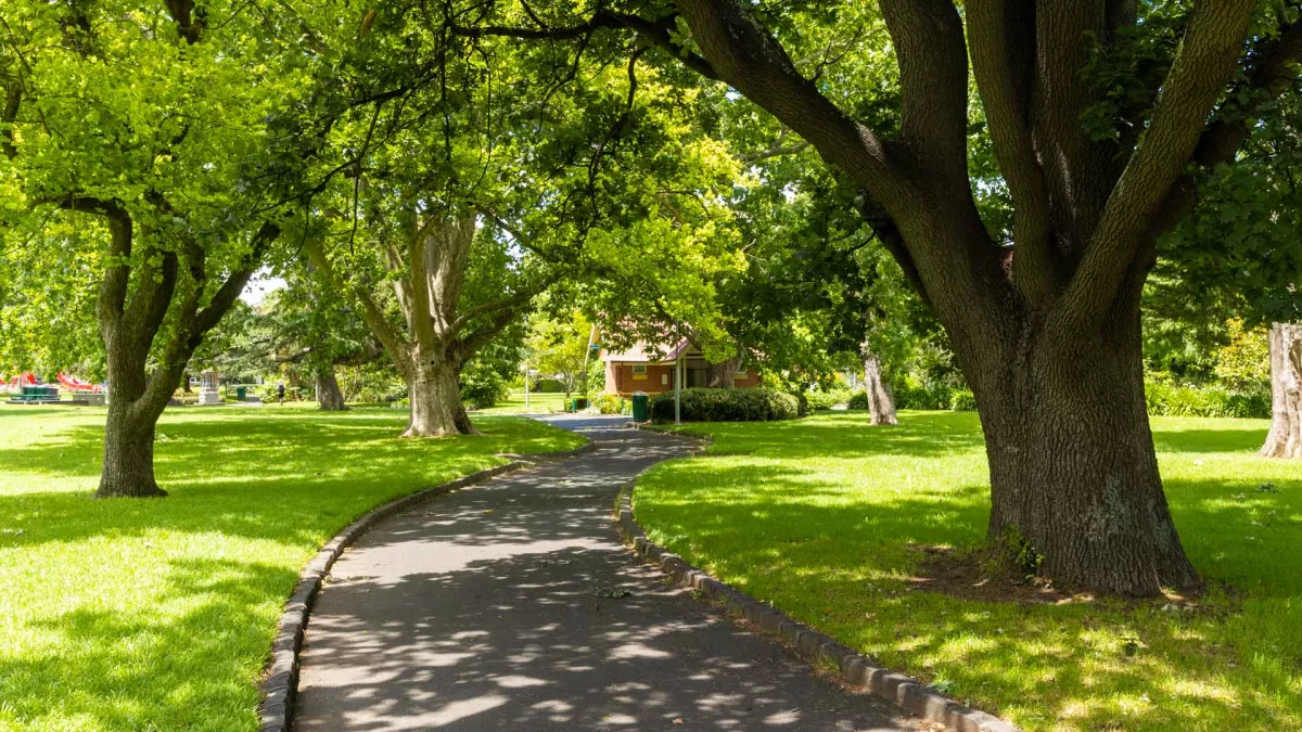 Curving concrete path with grass and large trees casting shadows on either side. There is a house-shaped building is in the distance.