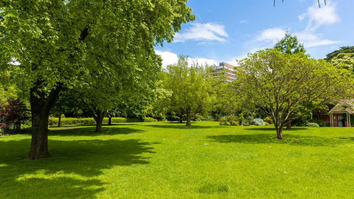 Grass area with several large scattered trees. There is a hedge to the left, a house-shaped building to the right and a multi-storey building is in the distance.
