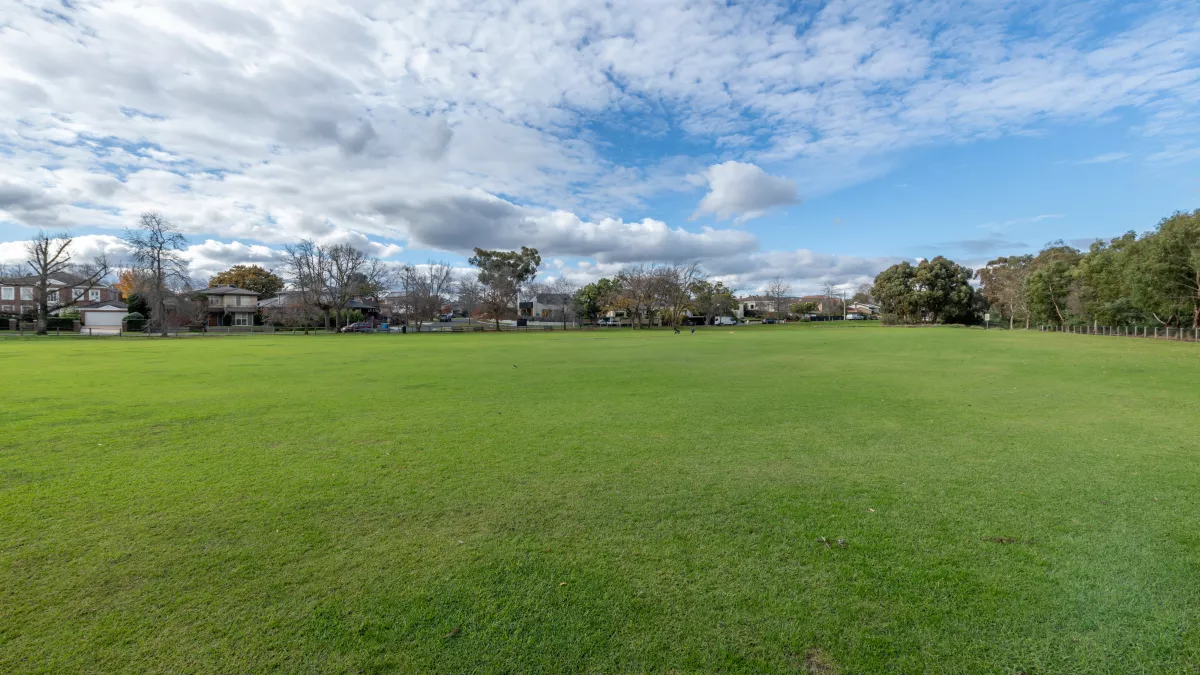 Large area of lush grass with tall trees across the horizon.