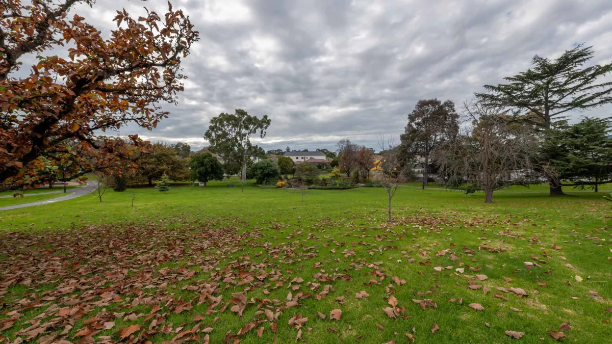 Large grass area partly covered in fallen leaves and surrounded by scattered tall trees. There is a walking path to the left.