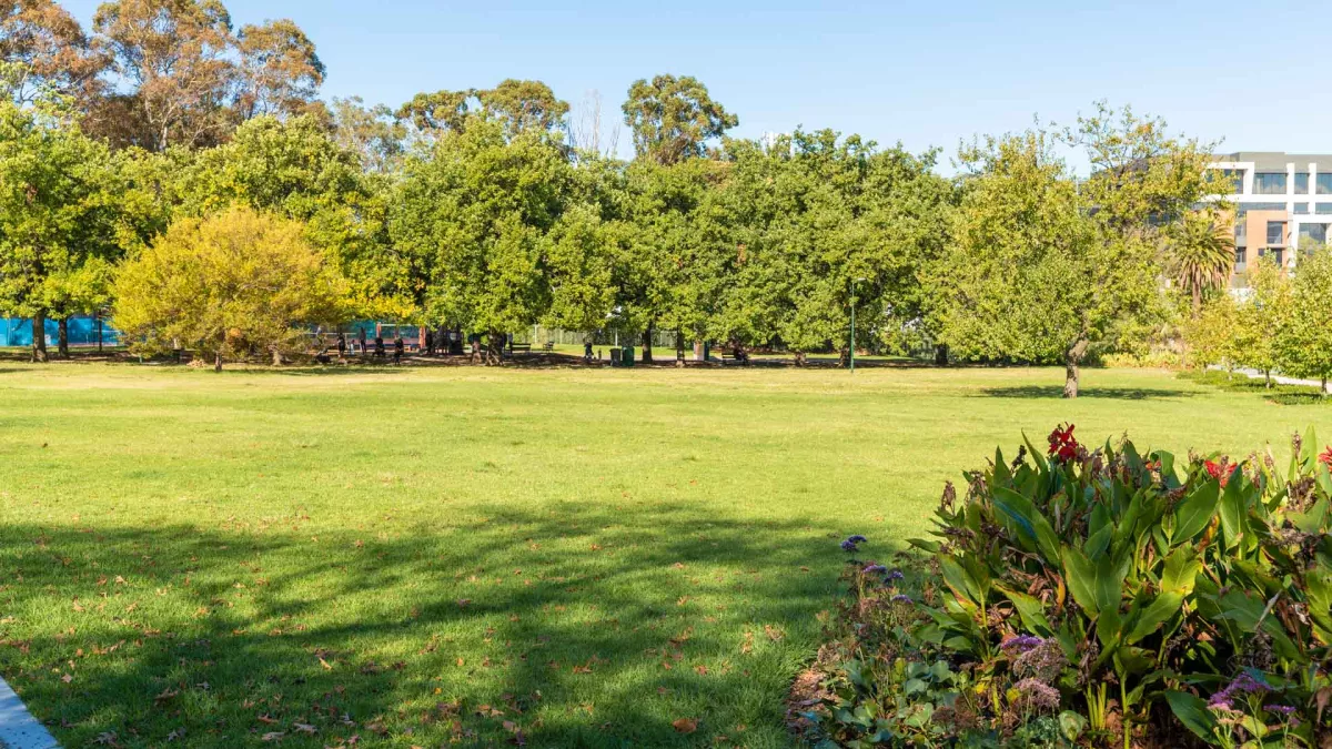 Grass area with line of bright green trees on its far side. There is part of a small garden at the bottom and a building to the far right.