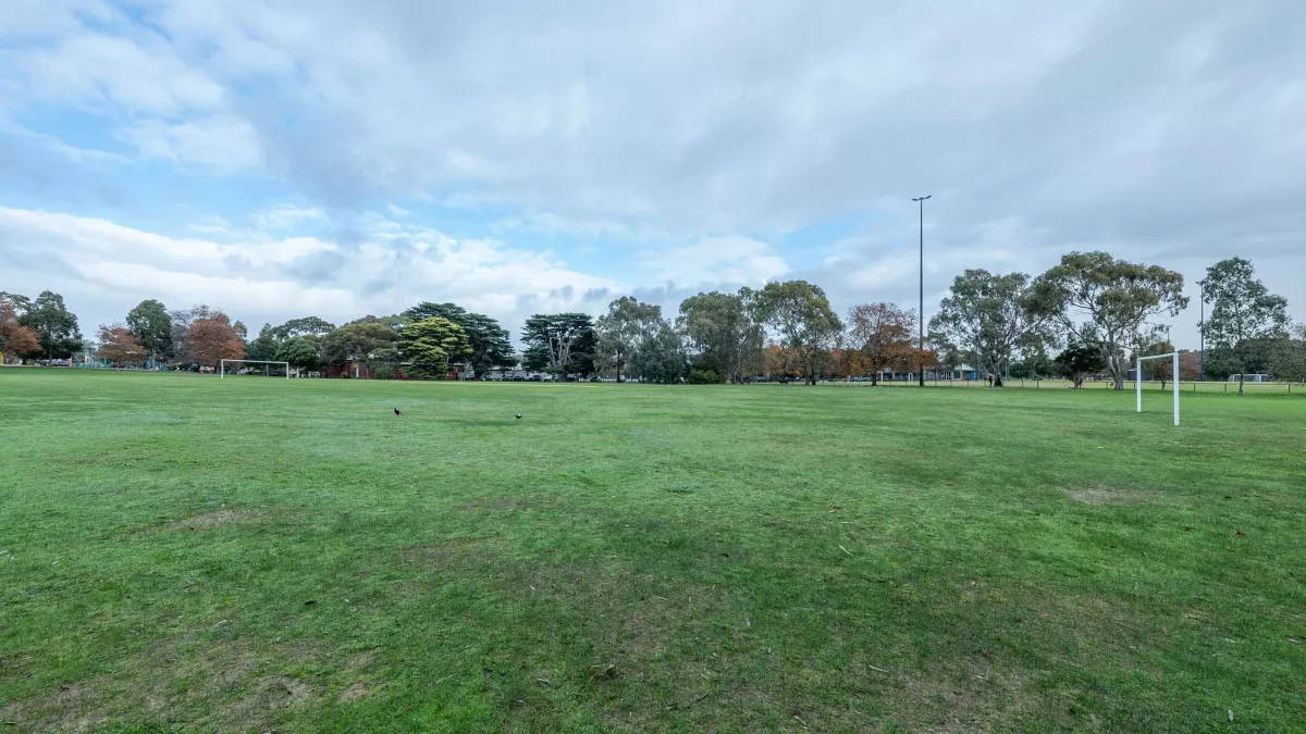 Soccer pitch with scattered patches of bare turf in the foreground. There is a light post and mature trees in the distance.