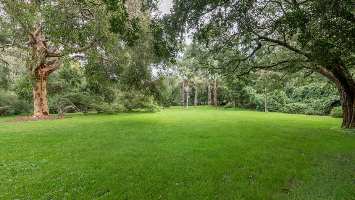 Lush area of grass surrounded by a thick layer of trees.